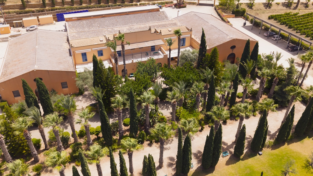 TSWF 2025 PRIMO GIORNO 2